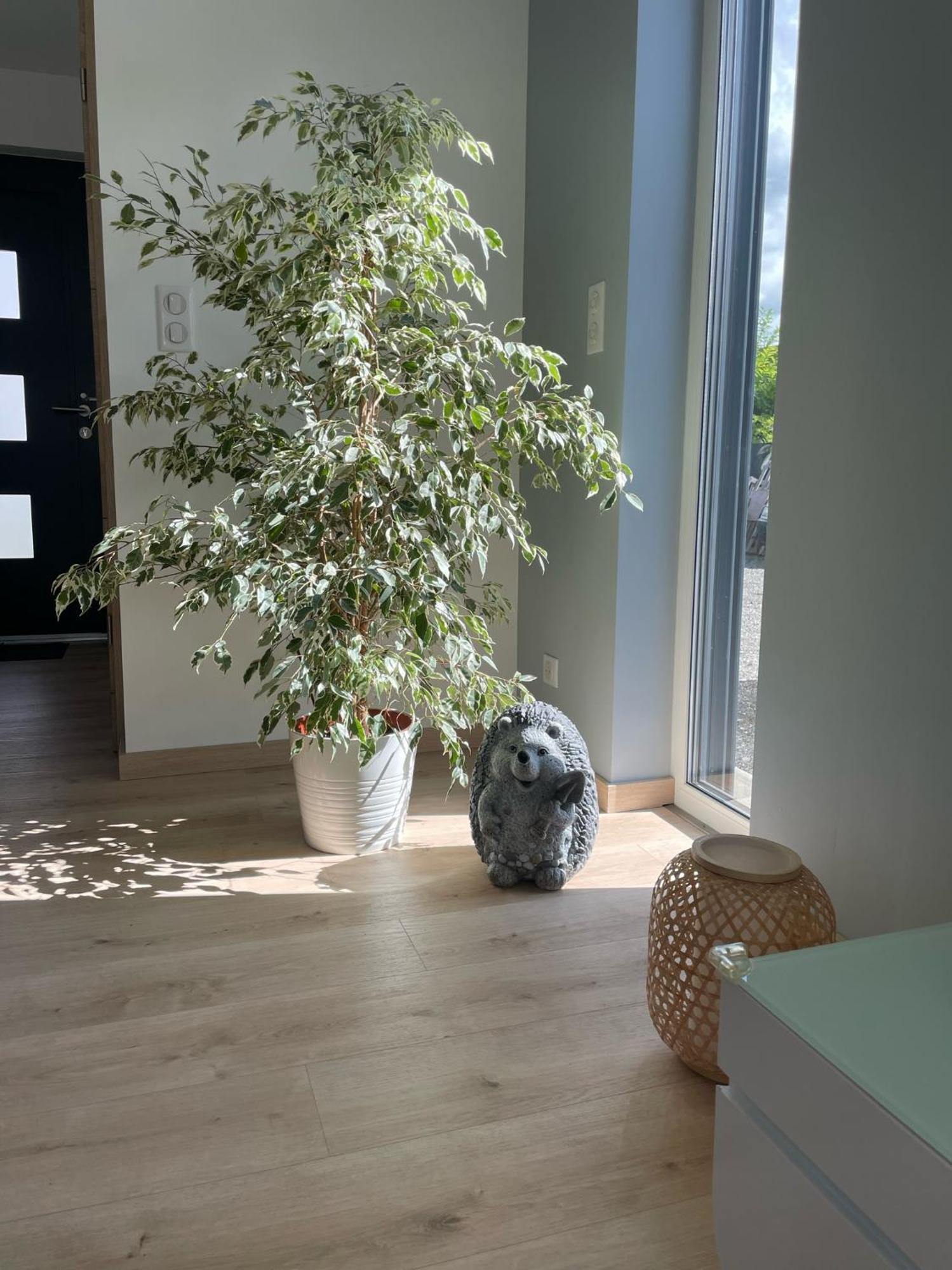 Maison Spacieuse Proche Strasbourg Ostwald Extérieur photo